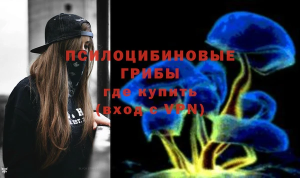 ПСИЛОЦИБИНОВЫЕ ГРИБЫ Елабуга
