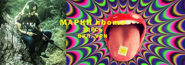 винт Ельня